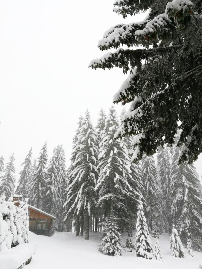 Elitza Villa Pamporovo Extérieur photo