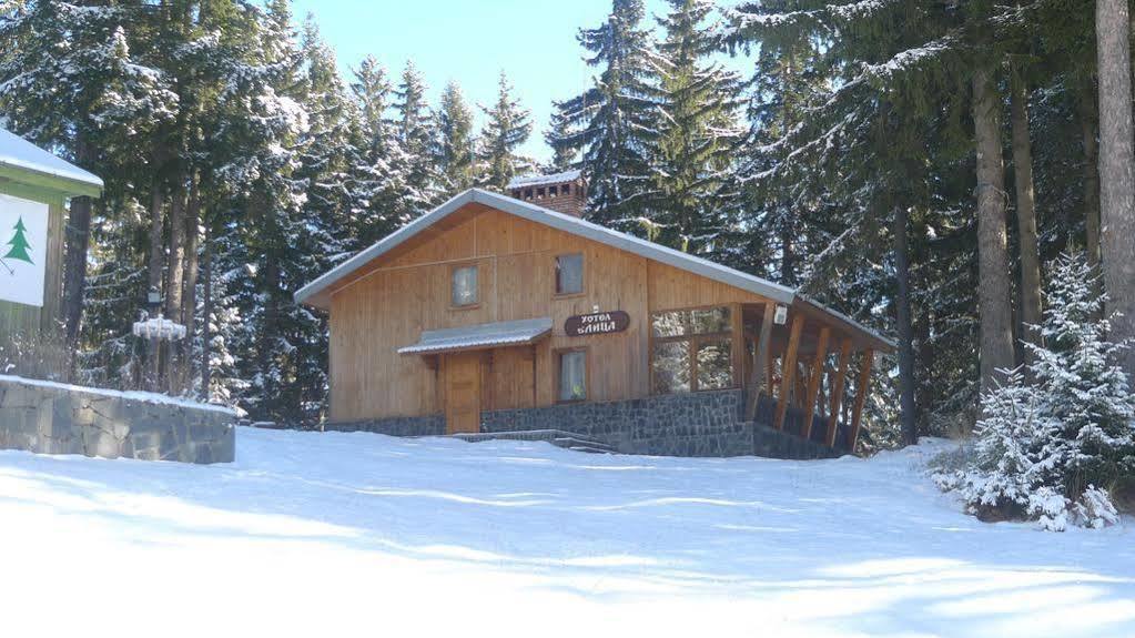 Elitza Villa Pamporovo Extérieur photo